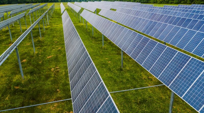 Alimentation durable : des choix pour demain