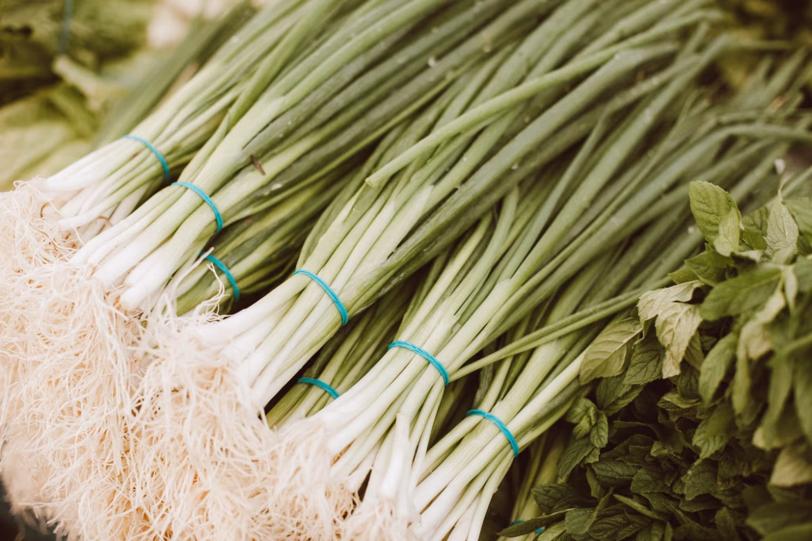 Plantez dans votre jardin: oignons