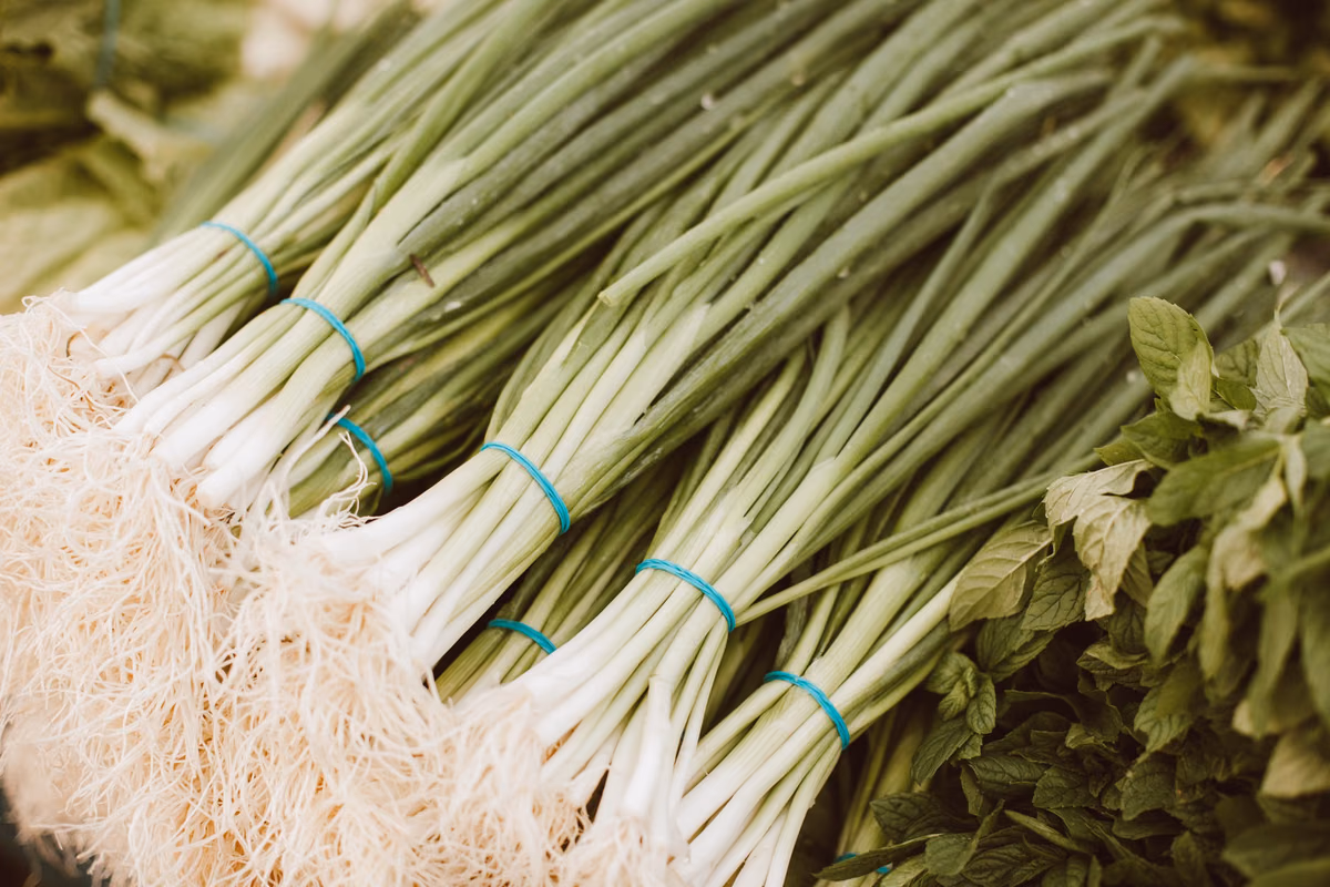 Plantez dans votre jardin: oignons