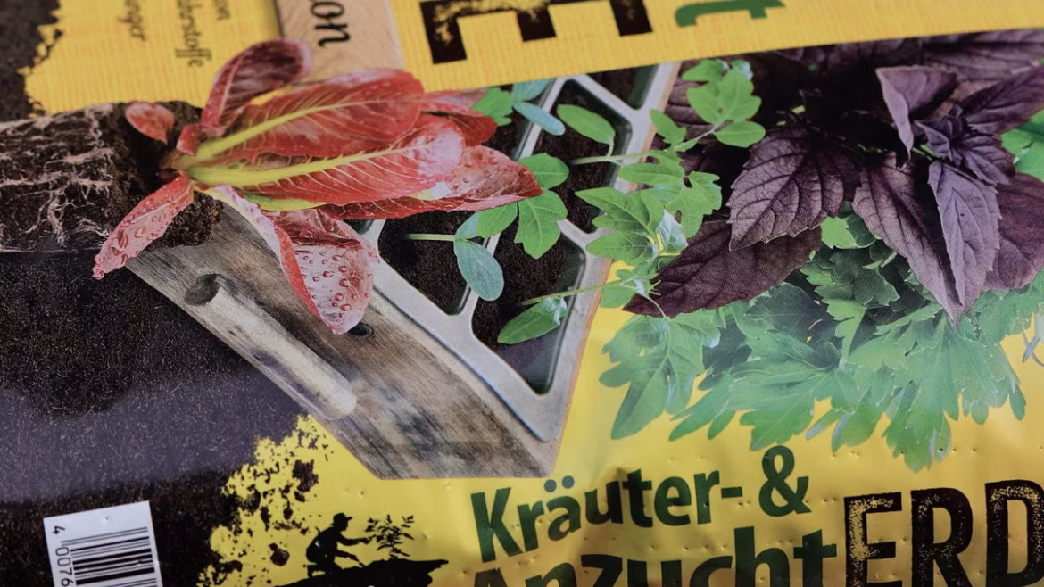 Jardin intérieur éco-responsable : 5 astuces pour cultiver sans culpabilité