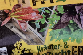 Jardin intérieur éco-responsable : 5 astuces pour cultiver sans culpabilité