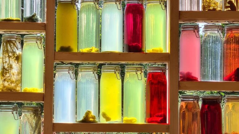 Décorer avec des matériaux recyclés : 5 idées inspirantes